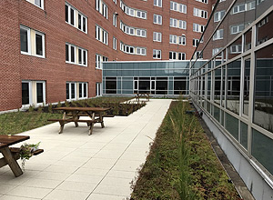 Hospital Green Roof - Accessible To Patients